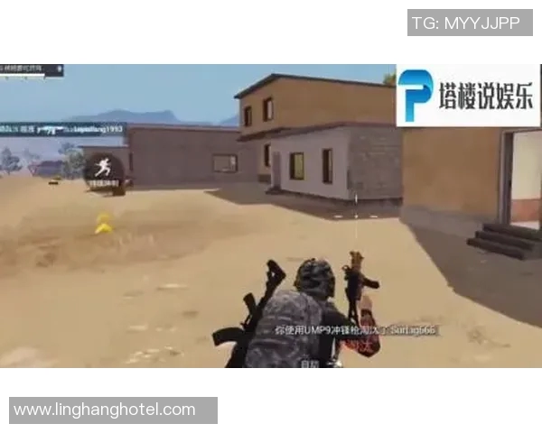 和平精英评论：IG战队防守与反击策略的成败分析与启示
