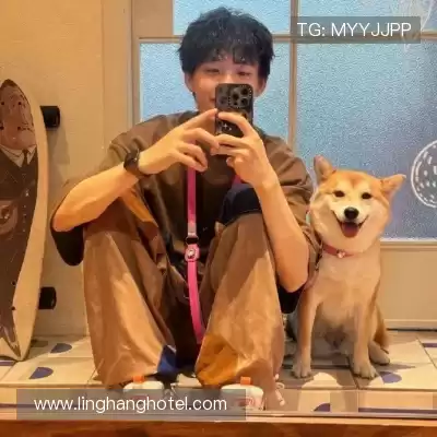 嵇蒙飚