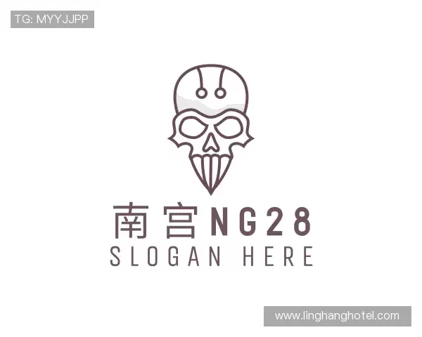 了解南宫28